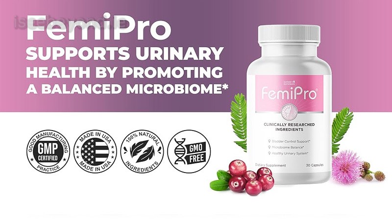 What Is the Femipro Supplement?
