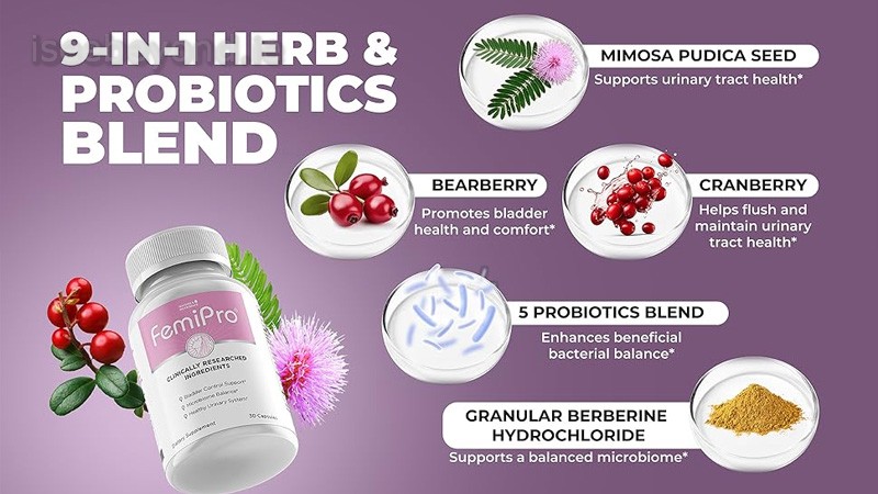Femipro Key Ingredients Breakdown