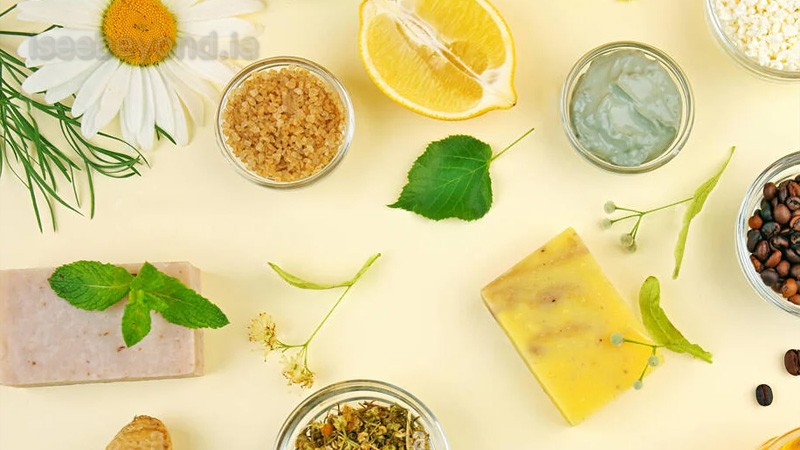 Neuro-Thrive Ingredients Breakdown