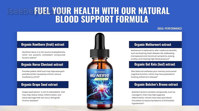 The Nu Nerve Experience