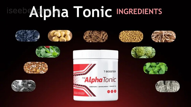 Alpha Tonic uses a plant-based men’s wellness blend aimed at energy, stress support, and circulation.