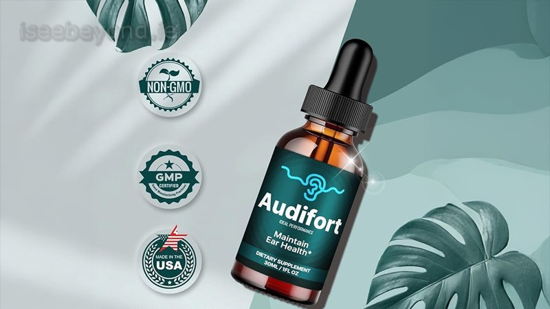 Understanding the Supplement and Its Purpose