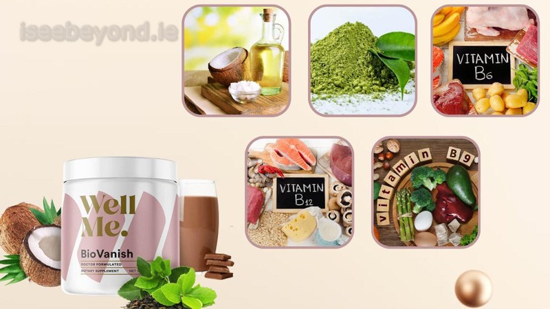BioVanish uses plant-based ingredients commonly found in metabolism-support supplements.