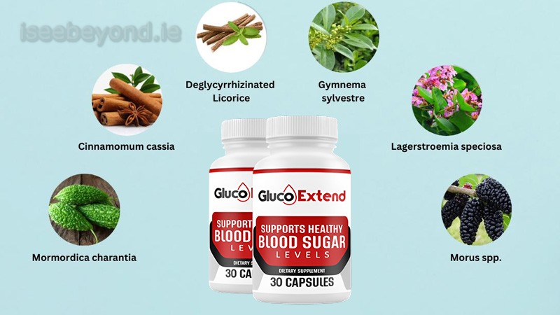 Gluco Extend Ingredients Breakdown
