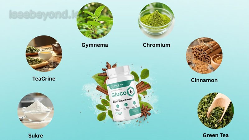 Gluco6 formula designed to support healthy blood sugar regulation