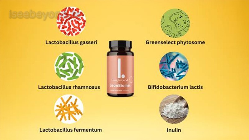 LeanBiome combines probiotics, a prebiotic fiber, and green tea extract to support gut balance and metabolism.
