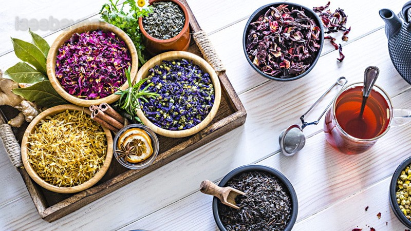 What the Ingredients Can Support & Their Limits